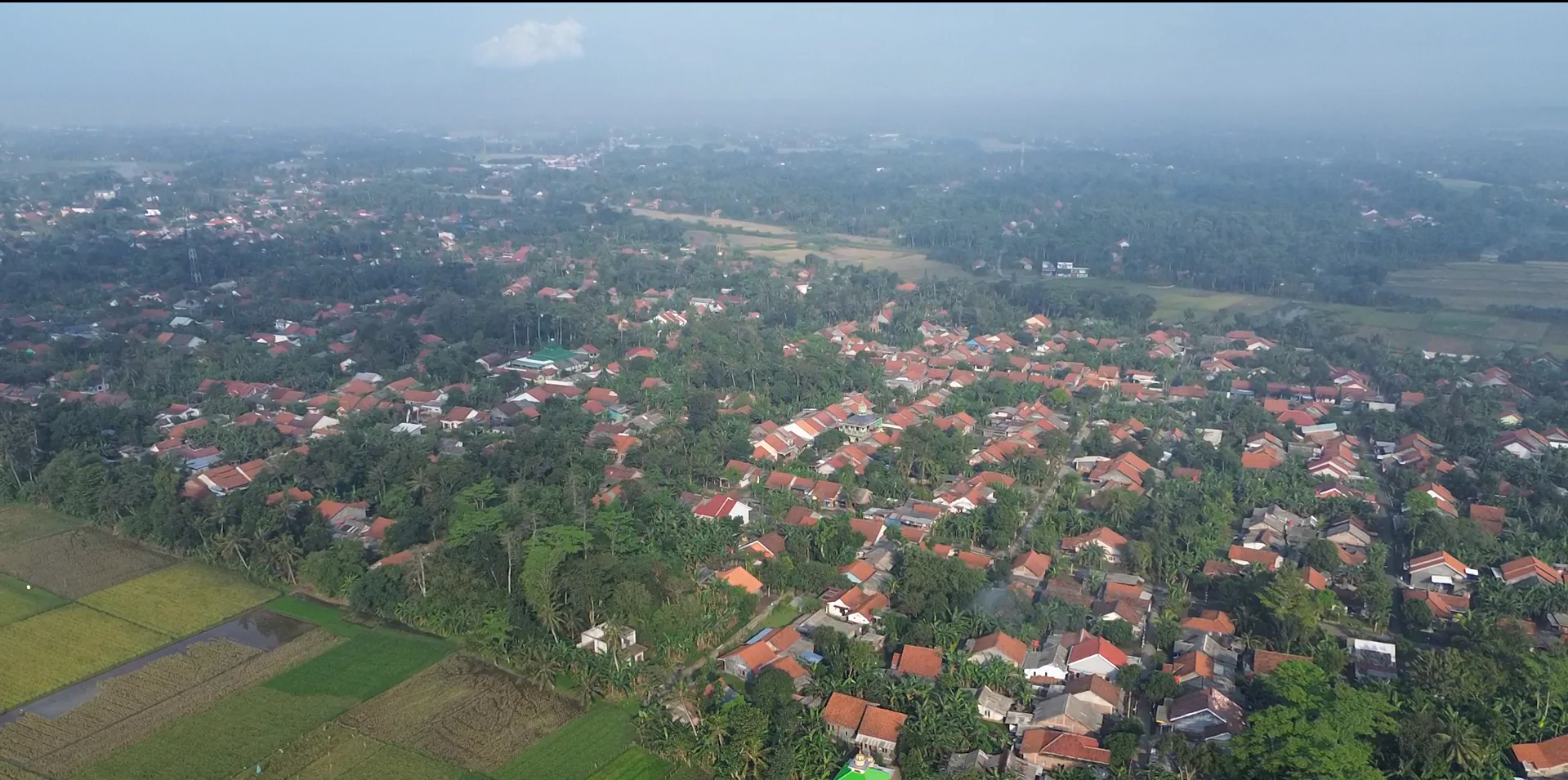 Lemprakan Slarang: Rasa Tradisional yang Menggigit di Setiap Gigitan